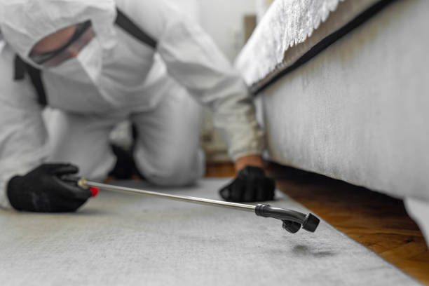 Professional Bed Bug Control technician working in Carlsbad, CA